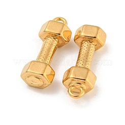 Pendentifs en acier inoxydable 304 avec placage ionique (IP)&nbsp;X-STAS-N103-79G