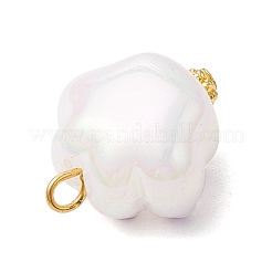 Акриловые подвески&nbsp;PALLOY-JF03927-02