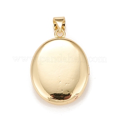 Laiton micro pave pendentifs de médaillon en zircone cubique&nbsp;LS-KK-A161-49G