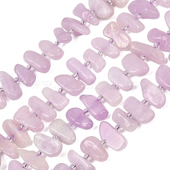 Naturperlen Stränge kunzite&nbsp;G-L657-E05-01
