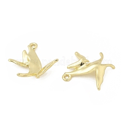 Pendentifs en alliage&nbsp;AL-CBA5609-12G