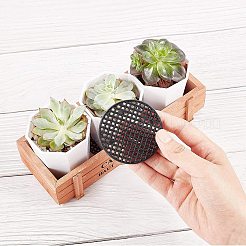 Набор для бонсай своими руками&nbsp;DIY-GA0001-10