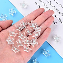 Transparente Acryl Perlen&nbsp;MACR-S373-105-B03