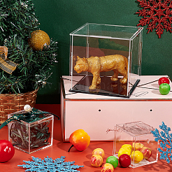 Прозрачные акриловые витрины&nbsp;AJEW-WH0282-68