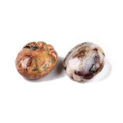 Натуральные фигурки сумасшедшего агата со следами&nbsp;DJEW-N003-02G