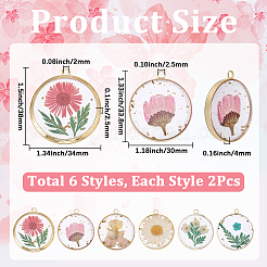 12 pièces 6 styles pendentifs en résine époxy transparente transparente&nbsp;RESI-SC0036-60A