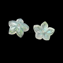 Embouts de perles de verre teints et chauffés&nbsp;GLAA-Z019-02E