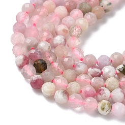 Природные морганит нитей бисера&nbsp;G-L651-C06-4mm