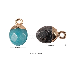 10 шт. 10 стиля подвески из натуральных драгоценных камней&nbsp;G-LS0002-15