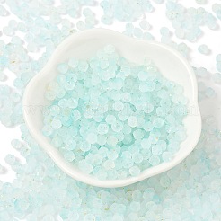 Perle di vetro smerigliato&nbsp;FGLA-D300-01B