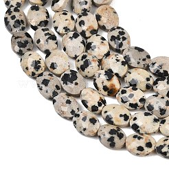 Природные яшмы далматин бисер нитей&nbsp;G-H349-A01-02