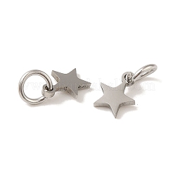 Anlaufgeschützte Charms aus Edelstahl 201&nbsp;STAS-E217-25A-P