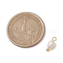 Natürliche Süßwasserperlen Kartoffel Charms&nbsp;X-PALLOY-JF03202-01