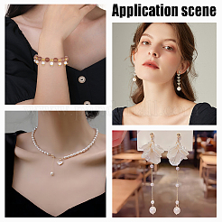 100 шт. подвески из натуральных пресноводных раковин&nbsp;FIND-AR0003-25