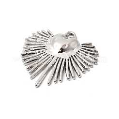 Подвески из сплава &nbsp;FIND-B060-06P