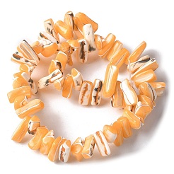 Окрашенные нити натуральных бусин-ракушек трохуса&nbsp;SSHEL-C013-09C