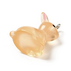 Подвески из светящейся полупрозрачной смолы RESI-A017-04