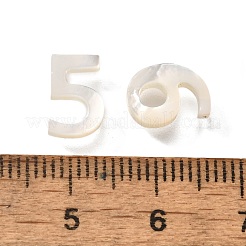 10шт 10 стиля натуральные бусины из пресноводных ракушек BSHE-Z008-11