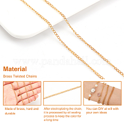 Kits de fabrication de bijoux à chaîne torsadée DIY&nbsp;DIY-SC0014-51A