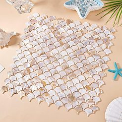 2 шт. листы кабошонов из ракушек&nbsp;AJEW-GO0002-11