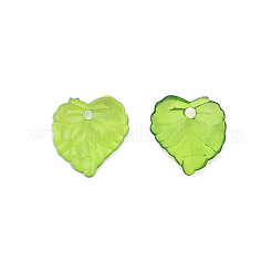 Прозрачные акриловые подвески&nbsp;TACR-T012-05