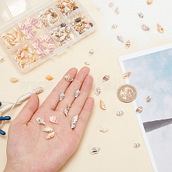 240 шт. бусины из натуральной ракушки и 45 шт. подвески из ракушек&nbsp;BSHE-PH0001-28