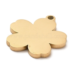 Colgantes de acero inoxidable 304 con revestimiento iónico (IP)&nbsp;STAS-E199-04G