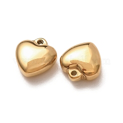 Valentinstag 304 Edelstahl Charms&nbsp;SA-G606-01G