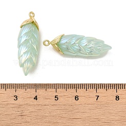 Подвески из смолы с радужным переливающимся покрытием&nbsp;LS-RESI-C047-03D-G