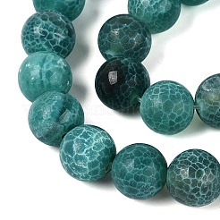 Chapelets de perle en agate naturelle teinte&nbsp;G-Q606-45A-02