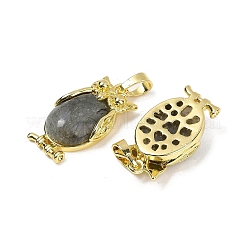 Натуральный лабрадоритный кулон&nbsp;KK-F887-02G-09