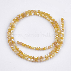 Giallo perline shell fili&nbsp;SHEL-S274-93A