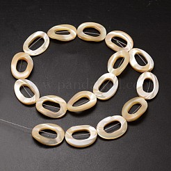 Нити бусин из натуральных трохоидных/трохус ракушек SSHEL-K008-07