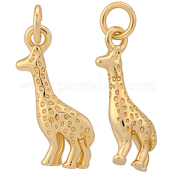 10шт латунные подвески&nbsp;KK-BBC0022-63