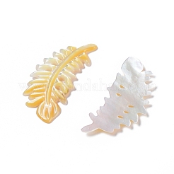 Natürlicher gelber Schal cabochons&nbsp;SSHEL-L016-008C