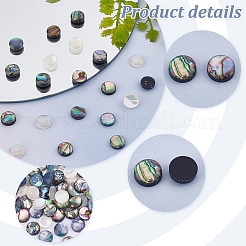 90 Stück 3 Farben Acryl-Muschel-Imitat-Cabochons&nbsp;MACR-PH0001-65B