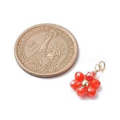 10шт 10 цвета непрозрачные стеклянные подвески из бисера&nbsp;PALLOY-JF02581-01