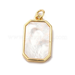 Покрытие стойки латунь микропаве прозрачные подвески из кубического циркония&nbsp;KK-F853-19G