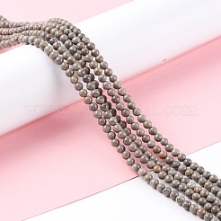 Натуральная серебряная линия яшма бисер прядь&nbsp;G-P451-03C-A