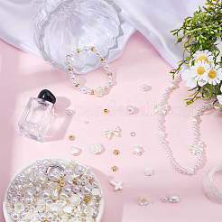 Kit di fibbie&nbsp;DIY-BM0002-11