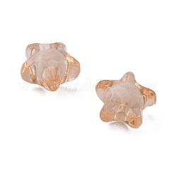 Прозрачные акриловые бусины&nbsp;LS-TACR-S091-12mm-05