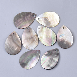 Labbro nero pendenti shell, lacrima, grigio, 30x20x1~2mm, Foro: 2 mm