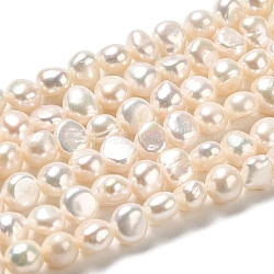 Brins de perles de culture d'eau douce naturelles, deux faces polies, Note 4 un, papayawhip, 6~7x7~8x5~5.5mm, Trou: 0.5mm, Environ 53~54 pcs/chapelet, 13.39~13.78 pouce (34~34.5 cm)