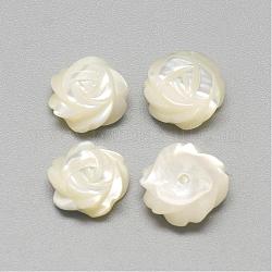 Cabochon in madreperla conchiglia bianca naturale, fiore, colore conchiglia, 9~10x4mm