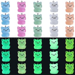 30 Stück 5 Farben leuchtende transparente Harzanhänger, Im Dunkeln leuchtende 3D-Katzenanhänger, mit 304 Edelstahlschlaufen, Mischfarbe, 27.5x22x19.5 mm, Bohrung: 2 mm, 6 Stk. je Farbe