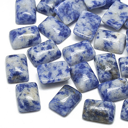 Natürliche blaue Fleck Jaspis Cabochons, Rechteck, 14x10x5.5 mm