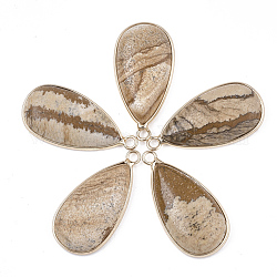 Pendentifs de jaspe avec image naturelle, avec les accessoires en laiton, larme, or, 33x16~16.5x6mm, Trou: 2mm