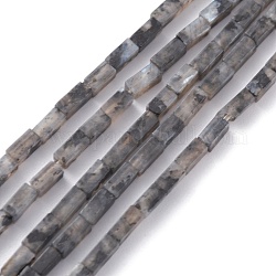 Natürliche schwarze Larvikit-Perlenstränge, Würfel, 3.5~6x2.2x2.2 mm, Bohrung: 0.9 mm, ca. 79~83 Stk. / Strang, 15.04~15.24'' (38.2~38.7 cm)
