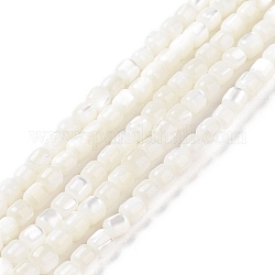 Hebras de cuentas de concha de trochus natural, teñido, columna, blanco, 3.5x3.5mm, agujero: 0.8 mm, aproximamente 113 pcs / cadena, 15.59'' (39.6 cm)