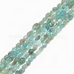 Chapelets de perles en apatite naturelle, pierre roulée, pépites, 4~15x4~8x3~7mm, Trou: 1mm, Environ 40~70 pcs/chapelet, 15.7 pouce